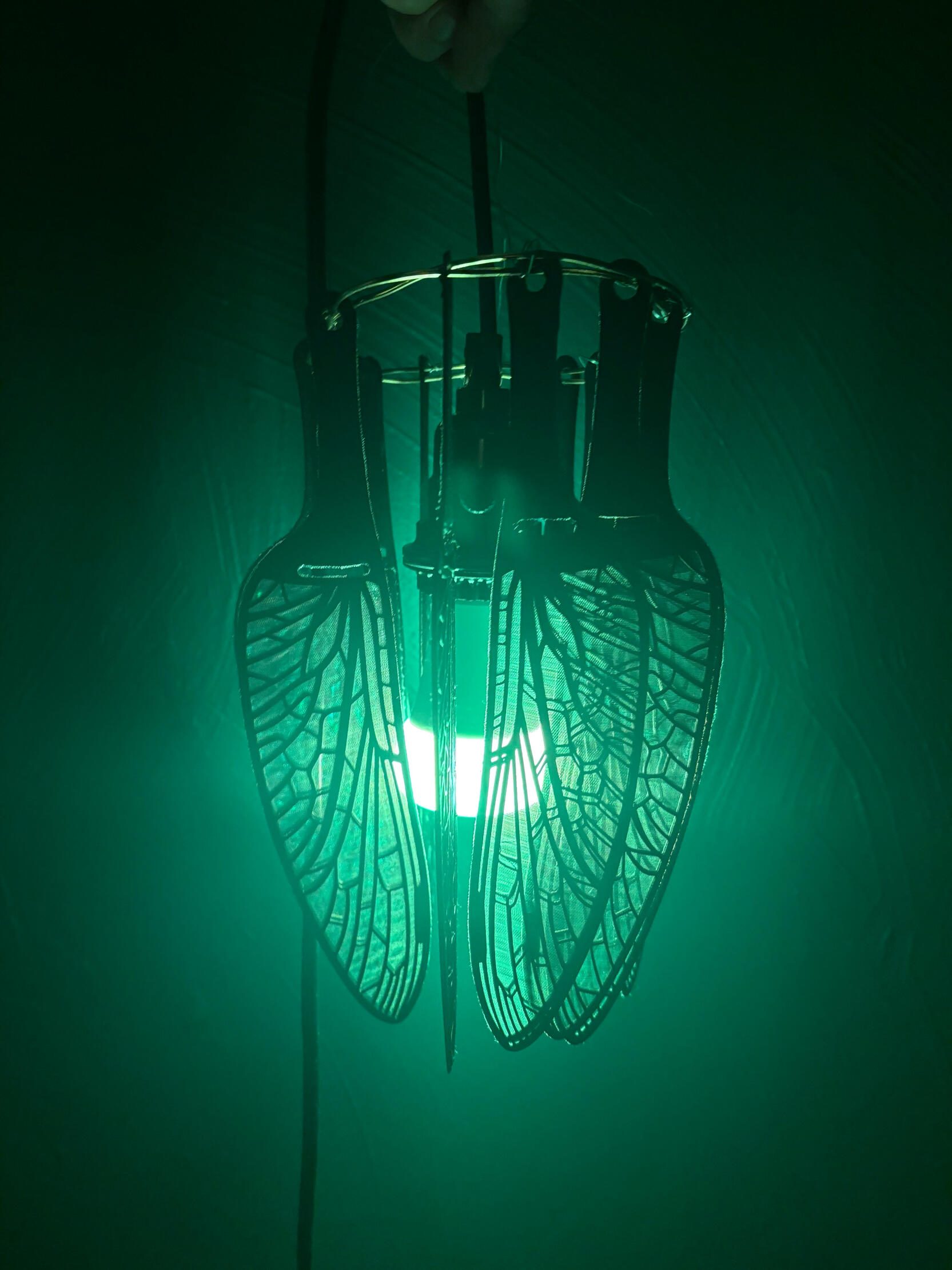 light concept