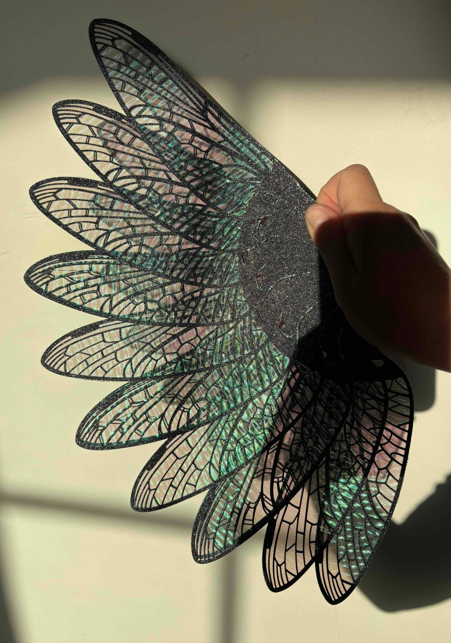 wings in sunlight